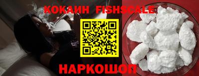 индика Новодвинск