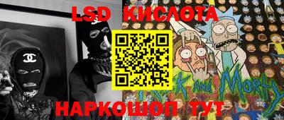 индика Новодвинск