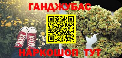 сатива Новокубанск