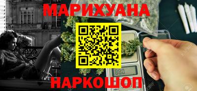 индика Новодвинск