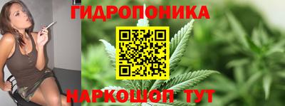 индика Новодвинск