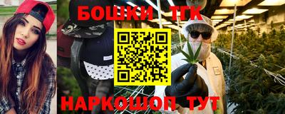 индика Новодвинск