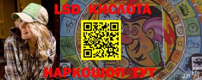 сатива Новокубанск