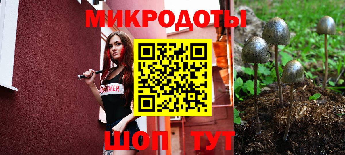 Галлюциногенные грибы GOLDEN TEACHER  Вход с VPN  Рыбинск 