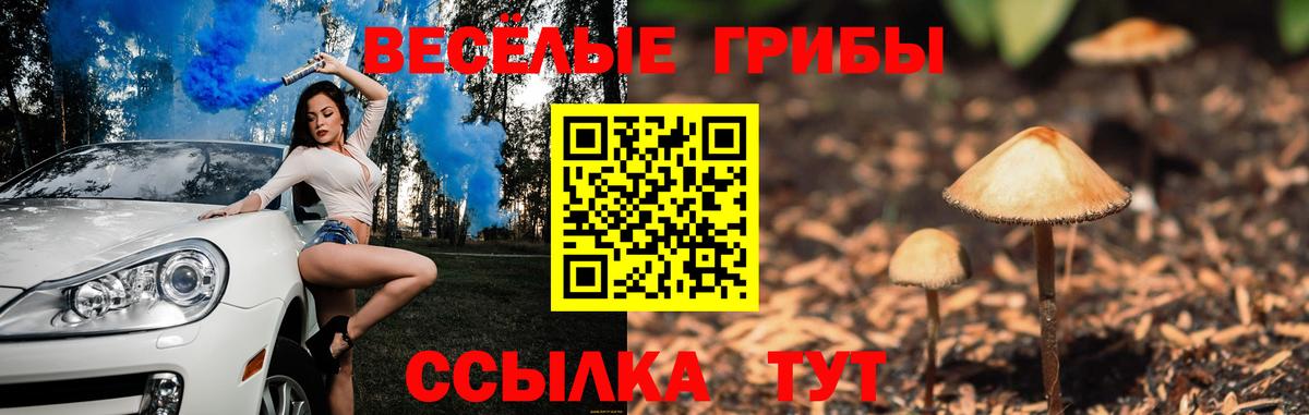Псилоцибиновые грибы Cubensis Рыбинск